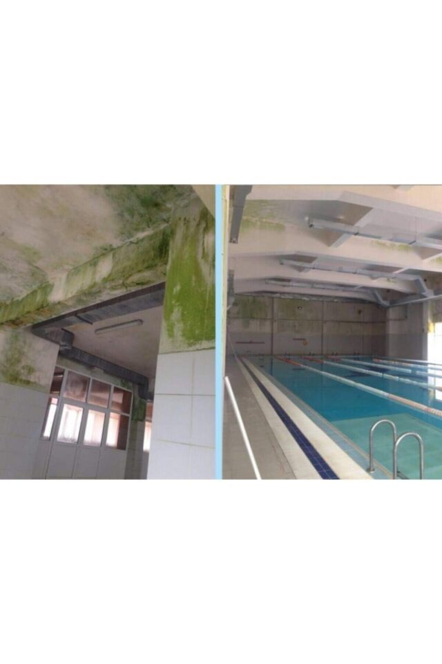 Isonem Ms 82 Nem Rutubet Boyası 1 Kg