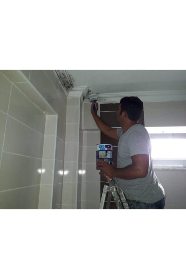 Isonem Ms 82 Nem Rutubet Boyası 1 Kg