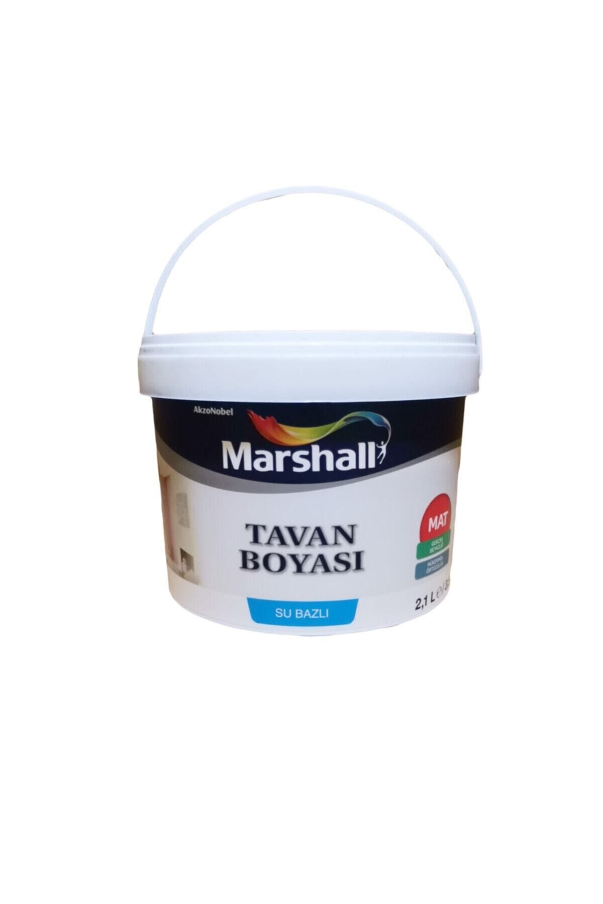 Tavan Boyası 2,1 L BEYAZ - Tek Ebat