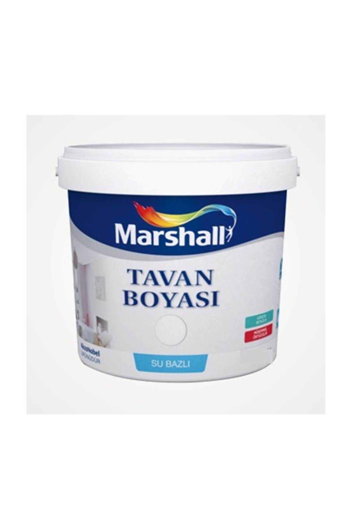 Tavan Boyası 17.5 Kg BEYAZ - Tek Ebat