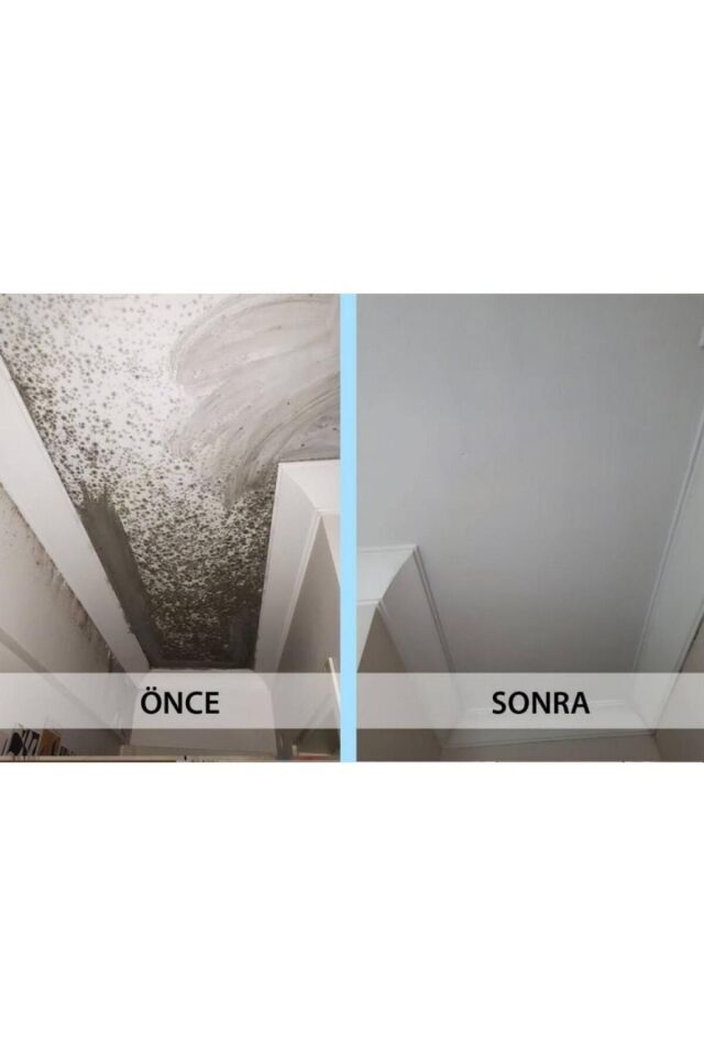 Ms 82 Rutubet Nem Küf Boyası 5 Kg Beyaz