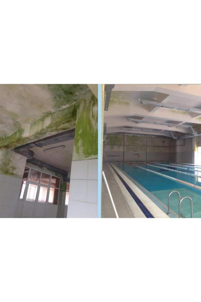 Ms 82 Rutubet Nem Küf Boyası 5 Kg Beyaz