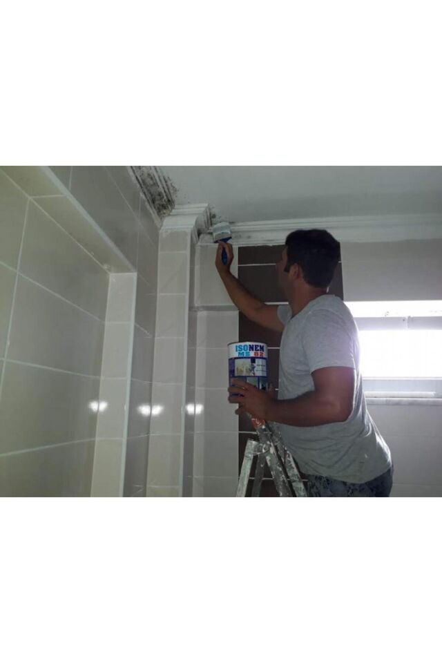 Ms 82 Rutubet Nem Küf Boyası 5 Kg Beyaz